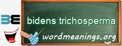 WordMeaning blackboard for bidens trichosperma